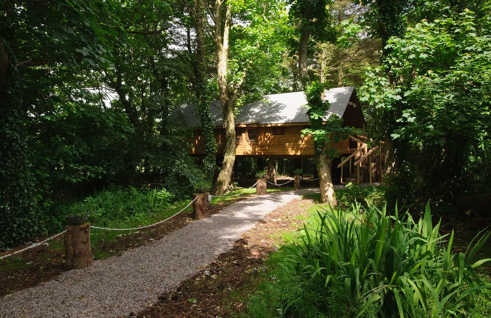 A wooden treehouse with a sloping roof is elevated among trees, with a gravel path leading up to it through a lush green forest.