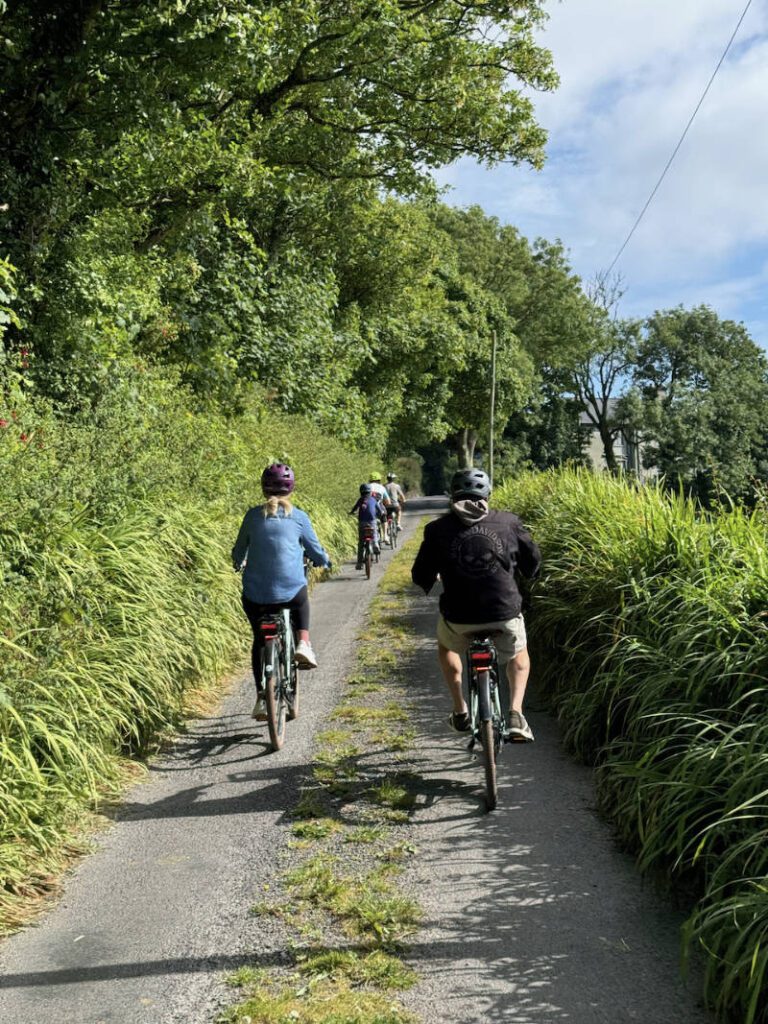 Forks, Focail and Folklore eBike Tour in West Cork 1 Focail eBike Tour 01