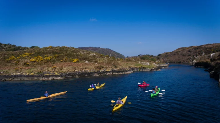 Five people paddle colourful kayaks on a calm river surrounded by hilly, green terrain under a clear blue sky.