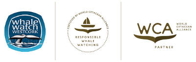 Whale Watching 3 whale watching logos